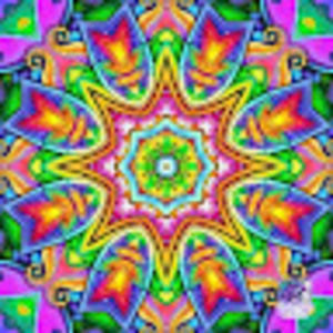 Meet your Posher, Kitty